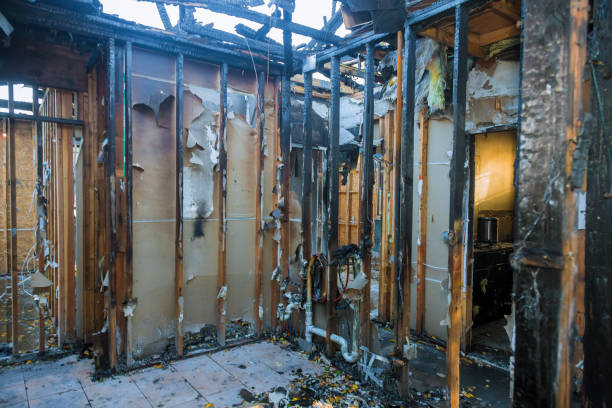 Professional Fire Damage Removal technician working in Juno Ridge, FL